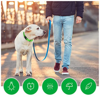 Collar Led Luminoso Mascotas Perro y Gato