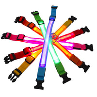 Collar Led Luminoso Mascotas Perro y Gato