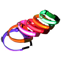 Collar Led Luminoso Mascotas Perro y Gato