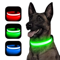 Collar Led Luminoso Mascotas Perro y Gato